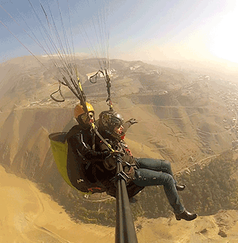 Author's profile picture